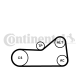 CONTINENTAL CTAM Wasserpumpe + Keilrippenriemensatz 6PK976WP1