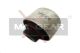 MAXGEAR Lagerung, Lenker 72-1181