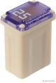 Herth+Buss Elparts Sicherung 50295341