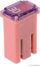 Herth+Buss Elparts Sicherung 50295355