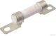Herth+Buss Elparts Sicherung 50295385