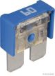 Herth+Buss Elparts Sicherung 50295566066
