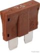 Herth+Buss Elparts Sicherung 50295852