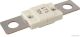 Herth+Buss Elparts Sicherung 50296704