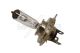 MAXGEAR Glühlampe, Hauptscheinwerfer 78-0009