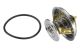 BorgWarner (Wahler) Thermostat, Kühlmittel 4078.87D