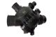 BorgWarner (Wahler) Thermostat, Kühlmittel 410086.97D0