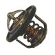 BorgWarner (Wahler) Thermostat, Kühlmittel 411716.88D