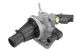 BorgWarner (Wahler) Thermostat, Kühlmittel 410588.88D