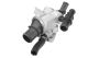 BorgWarner (Wahler) Thermostat, Kühlmittel 410591.88D