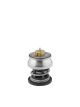 BorgWarner (Wahler) Thermostat, Kühlmittel 412253.88D