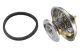 BorgWarner (Wahler) Thermostat, Kühlmittel 4158.80D