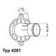 BorgWarner (Wahler) Thermostat, Kühlmittel 4281.87D