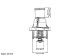 BorgWarner (Wahler) Thermostat, Kühlmittel 4357.92D