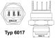 BorgWarner (Wahler) Temperaturschalter, Kühlerlüfter 6017.85D