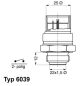 BorgWarner (Wahler) Temperaturschalter, Kühlerlüfter 6039.95D