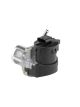 BorgWarner (Wahler) AGR-Ventil 710095D/1