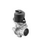 BorgWarner (Wahler) AGR-Ventil 710795D