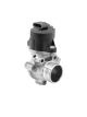BorgWarner (Wahler) AGR-Ventil 710753D