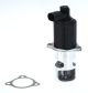 BorgWarner (Wahler) AGR-Ventil 710776D/1