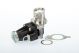 BorgWarner (Wahler) AGR-Ventil 710947D/1