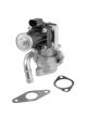 BorgWarner (Wahler) AGR-Ventil 712017D