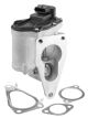 BorgWarner (Wahler) AGR-Ventil 712018D