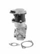 BorgWarner (Wahler) AGR-Ventil 712057D