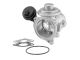 BorgWarner (Wahler) AGR-Ventil 7187D