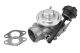 BorgWarner (Wahler) AGR-Ventil 7301D