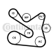 CONTINENTAL CTAM Keilrippenriemensatz 7PK1605K1