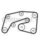 CONTINENTAL CTAM Keilrippenriemensatz 7PK2035K1
