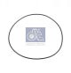 DT Spare Parts Dichtring 7.32241