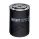 HENGST FILTER Kraftstofffilter H17WK10