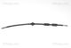TRISCAN Bremsschlauch 8150 10125