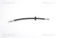 TRISCAN Bremsschlauch 8150 16234