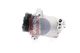 AKS DASIS Kompressor, Klimaanlage 851571N