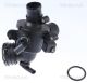 TRISCAN Thermostat, Kühlmittel 8620 34295