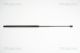 TRISCAN Gasfeder, Koffer-/Laderaum 8710 18213