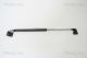 TRISCAN Gasfeder, Koffer-/Laderaum 8710 69215