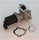 TRISCAN AGR-Ventil 8813 10003