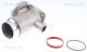 TRISCAN AGR-Ventil 8813 11005
