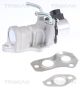 TRISCAN AGR-Ventil 8813 13201