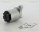 TRISCAN AGR-Ventil 8813 24002