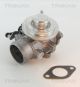TRISCAN AGR-Ventil 8813 29201