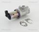 TRISCAN AGR-Ventil 8813 43021