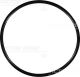 VICTOR REINZ Dichtring 40-76964-00