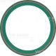 VICTOR REINZ Wellendichtring, Kurbelwelle 81-10168-00