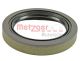 METZGER Sensorring, ABS 0900184