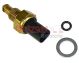 METZGER Sensor, Kraftstofftemperatur 0905323